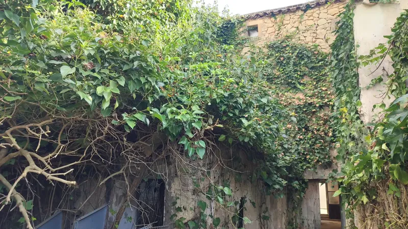 House for sale in Vilafranca de Bonany, located at Calle Sant Martí no. 24 — photo 12