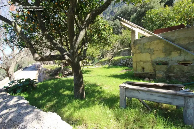 Acquire this rustic finca of 272 m2 and 42,951 m2 of land and create your own paradise in Mallorca. — photo 1
