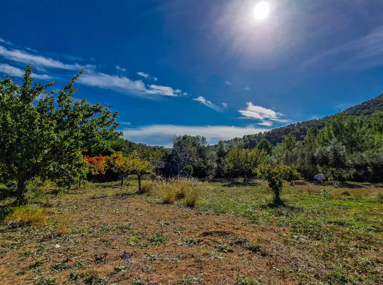 Ref. 2435C – Es Capdella – Beautiful finca with fantastic mountain views — photo 12