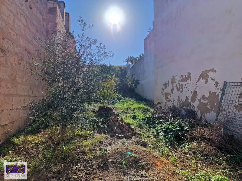 plot in Muro — photo 1