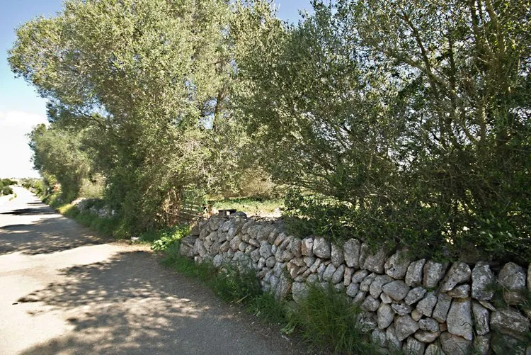 Es Llombards plot with building project G02962 — photo 2