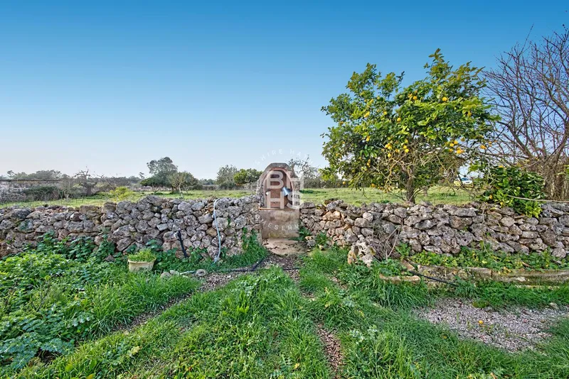 Rustic Finca for sale in María de la Salut — photo 8