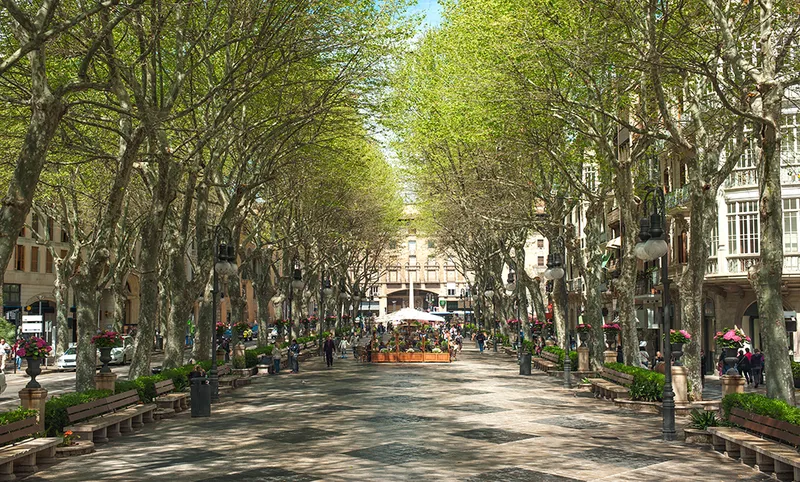 Commercial space in an exclusive new-build residence in the heart of Palma — photo 7