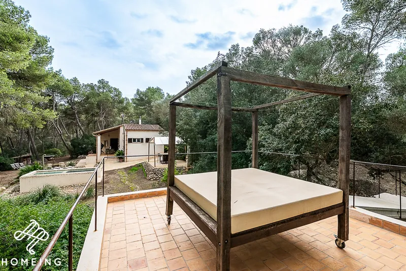 Unique rustic finca in a pine forest. Excellent state of preservation. — photo 6