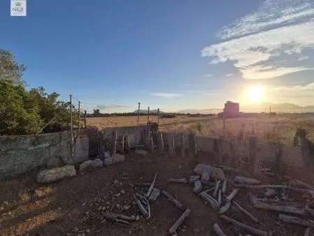 Rustic property in Muro, 140 m² built, 18,400 m² plot, 1 room, 1 bathroom — photo 2
