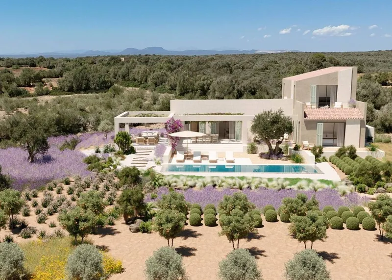 Luxury home in ses Salines, Province of Balearic Islands — photo 9