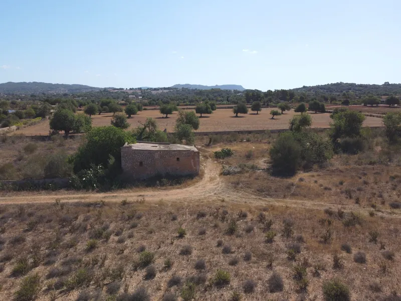 Buildable plot in Felanitx of 21,710 m2 — photo 5
