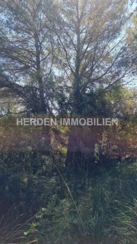 Plot of Land in Son Servera for Sale — photo 7