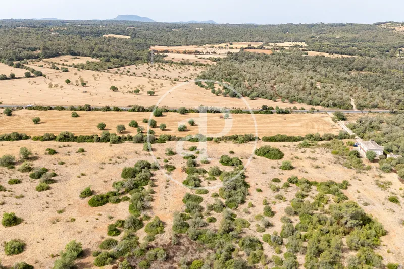 Exceptional Rustic Estate with Endless Possibilities for Sale in Sineu — photo 8