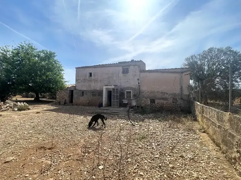Old farmhouse for total renovation — photo 11