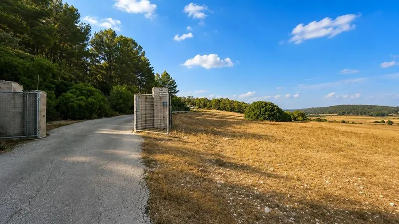 Land in Algaida, Province of Balearic Islands — photo 5