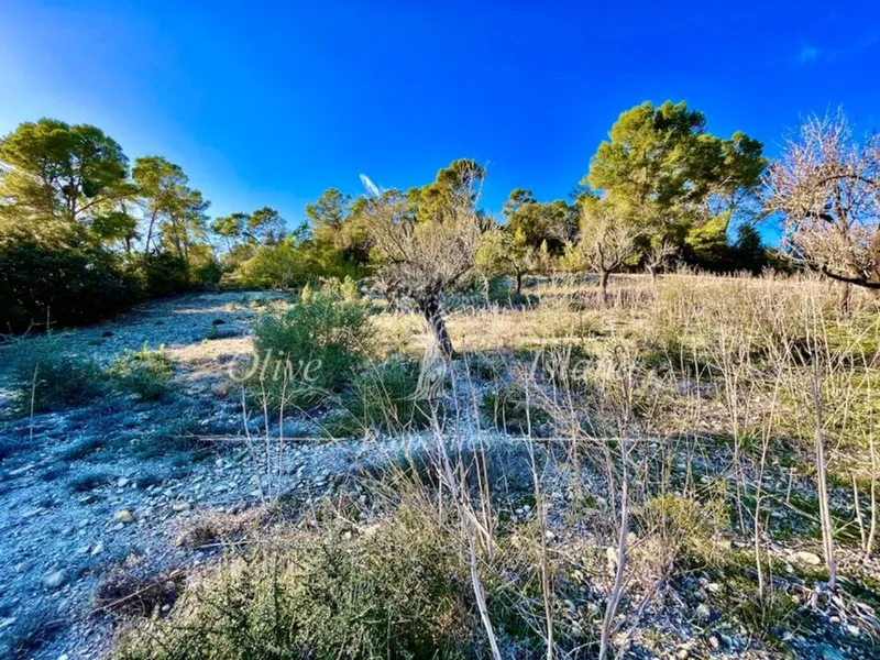 Villa in Sineu, Province of Balearic Islands — photo 7