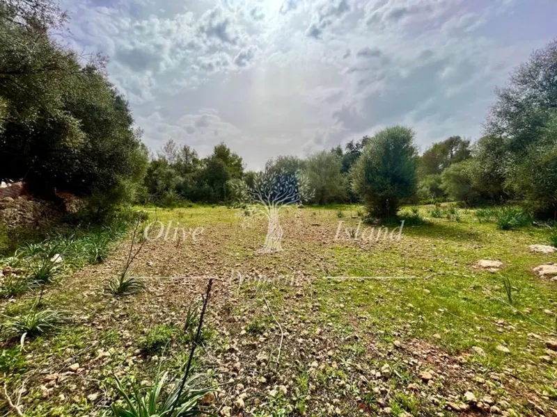 Land in Algaida, Province of Balearic Islands — photo 4