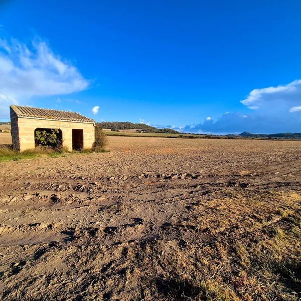 Buildable rustic plot for sale in Montuïri — photo 11