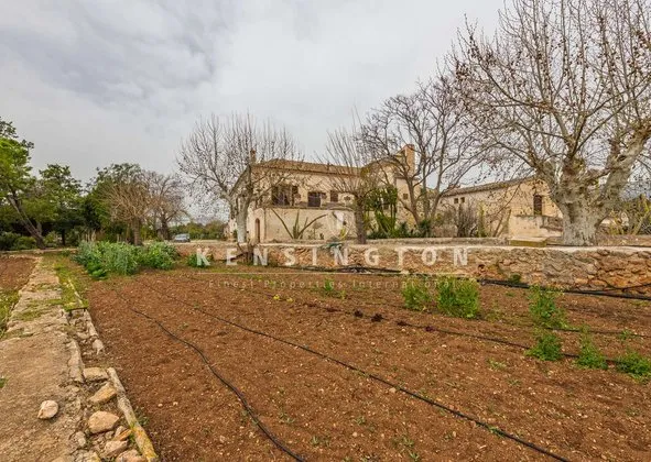 Estate in Bunyola — photo 1