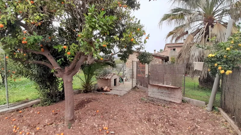 Beautiful stone house with large garden in quiet area of Sóller — photo 3