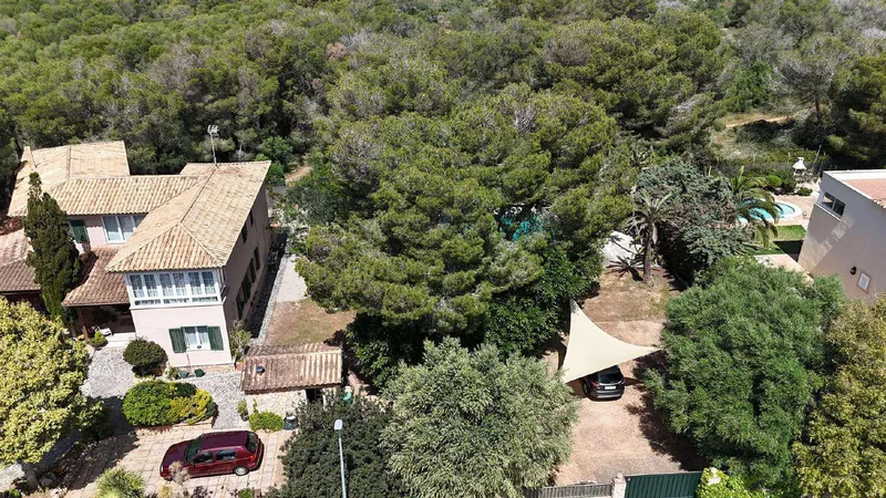 Buildable plot in Maioris — photo 7