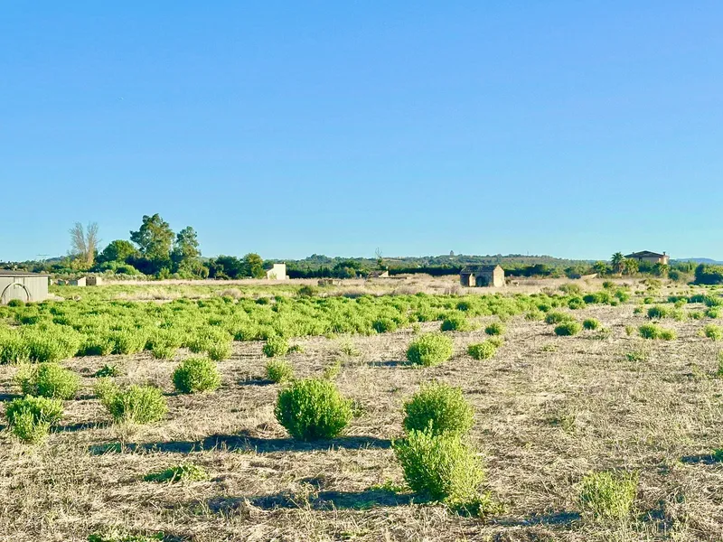 Fabulous building plot with project and building permits — photo 3
