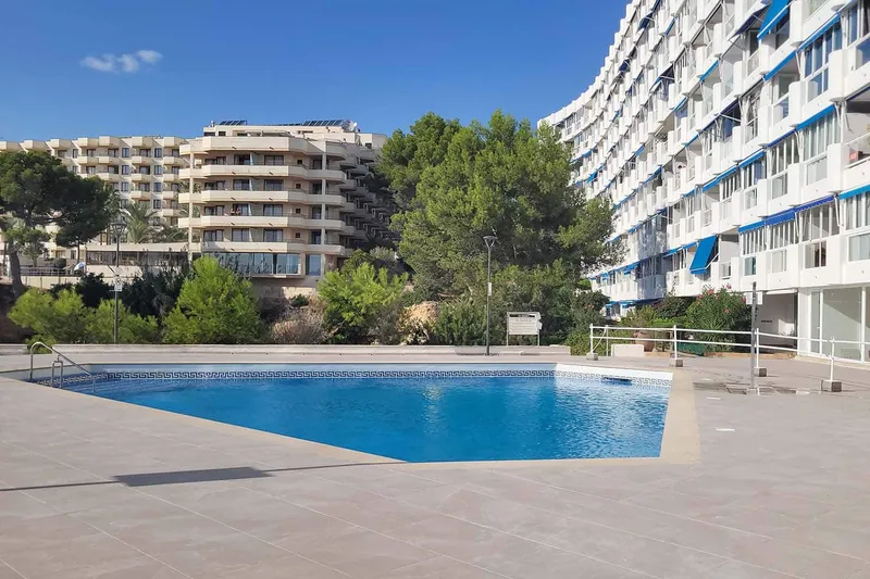 1-bedroom apartment with sensational sea views for rent — photo 7