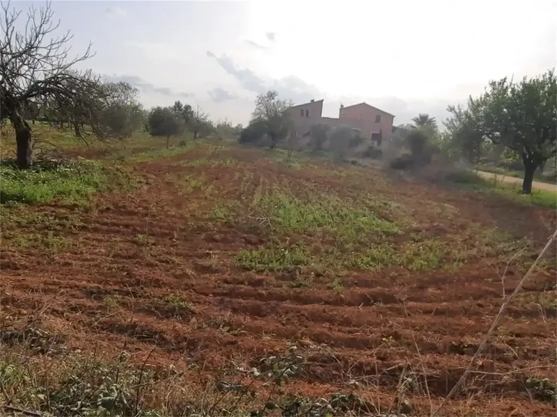 Casa de campo en Mallorca, Campos de 375 m2 construidos sobre una parcela de 15.429 m2. A tan sólo 7 km de una de las playas más bonitas de  — photo 3