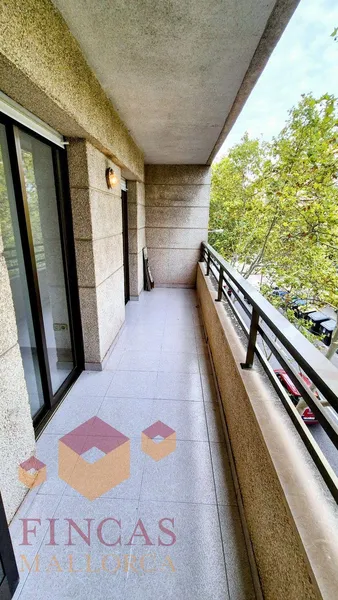 Apartment Carretera Valldemossa – S’Escorxador – NOT AVAILABLE — photo 9