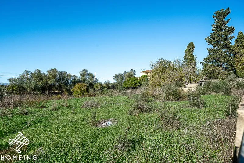 Rustic finca with electricity and own well water, near the beaches of Alcudia Bay — photo 2
