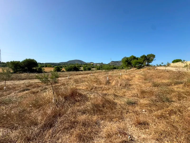 Newly built rustic finca with impressive views ... — photo 5