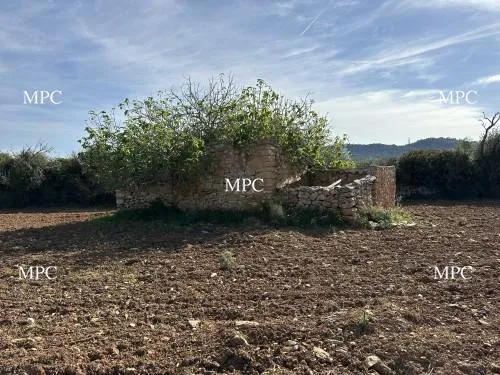Countryside plot with small building in need of renovation in Arta — photo 1