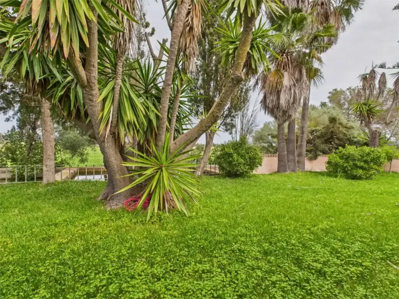¡Finca Rústica con potencial extraordinario! 39.000 m² de terreno, piscina, cancha de tenis y más – — photo 7