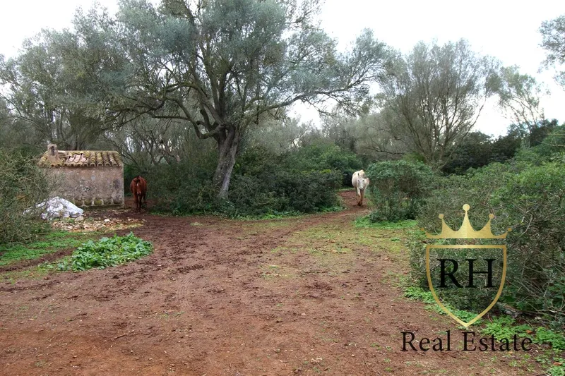 Rustic estate with possibilities to build the house of your dreams — photo 1