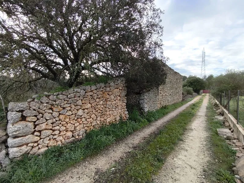 Rustic finca with great potential in Llubí - nature, privacy and possibility to build — photo 4