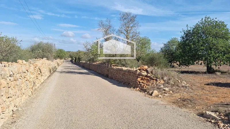 Plot in Ses Salines, panoramic views and possibility to build a 450 m² home — photo 5