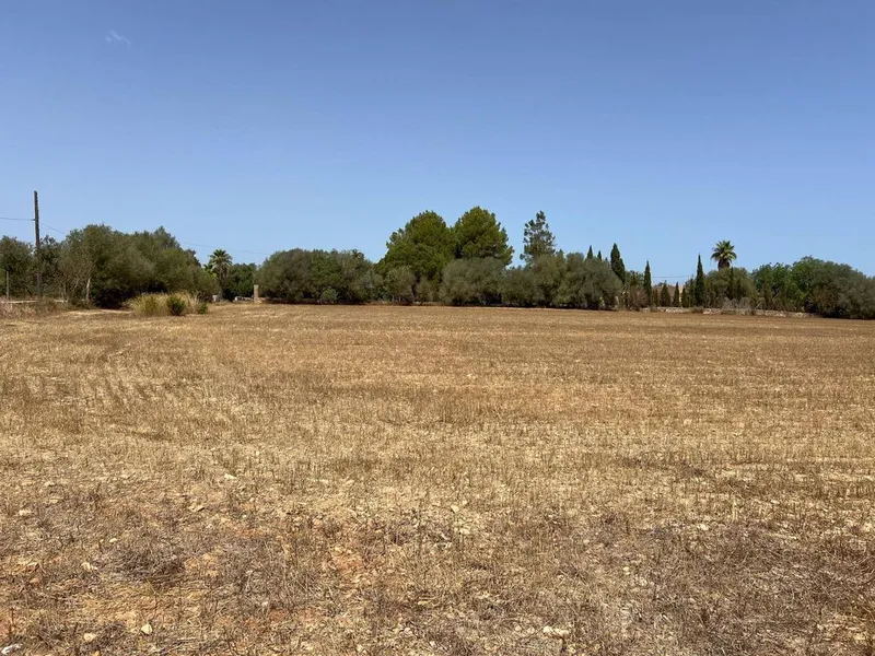 Rural or Farmhouse in Felanitx, Province of Balearic Islands — photo 5