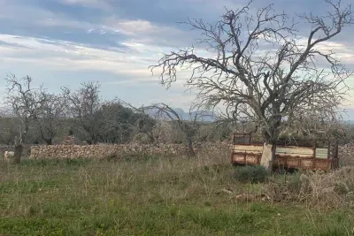 Building plot for sale in Santa Margalida — photo 1