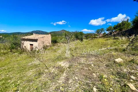 Land in Alaro, Mallorca — photo 8
