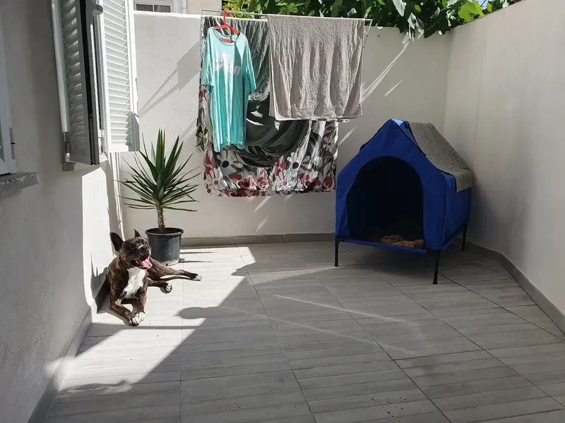 Apartment for sale on the first floor with elevator in the Soledad Norte area — photo 9