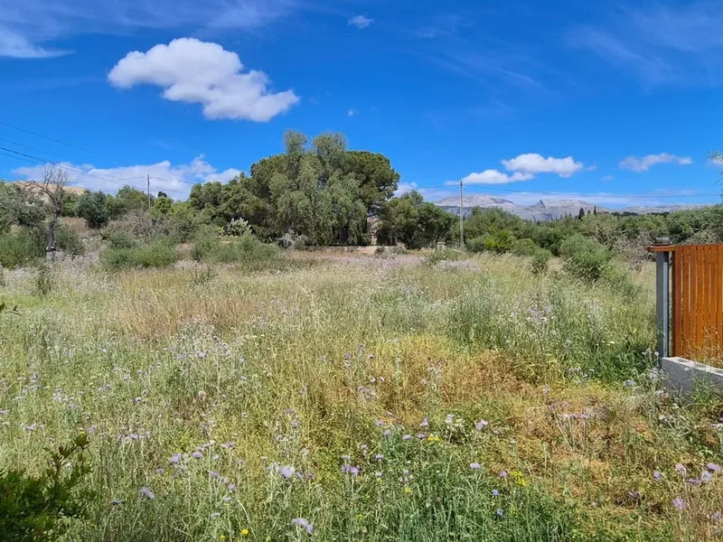 Finca in Buger, Mallorca — photo 4