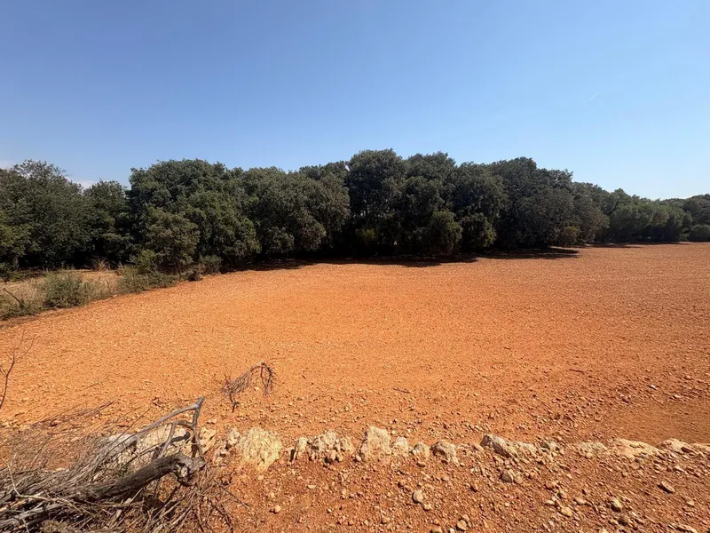 FINCA RUSTICA CON CASITA AGRARIA DE UNOS 34M2 CON CISTERNA — photo 8