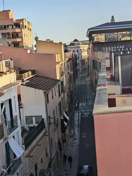 Moderno y coqueto estudio de reciente construcción en el centro de Palma de Mallorca, muy bien comunicado, en Sa Gerreria muy cerca de los J — photo 11