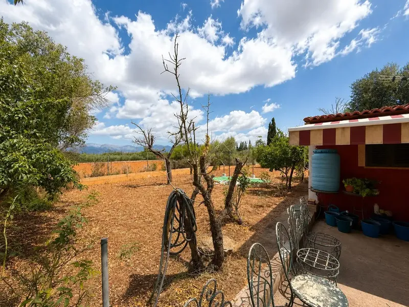 Rustic finca with small house and large plot in Santa Eugènia — photo 5