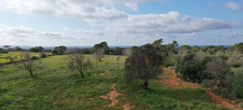 Plot with views to the sea and the island of Cabrera in the beautiful area of Es [...] — photo 2