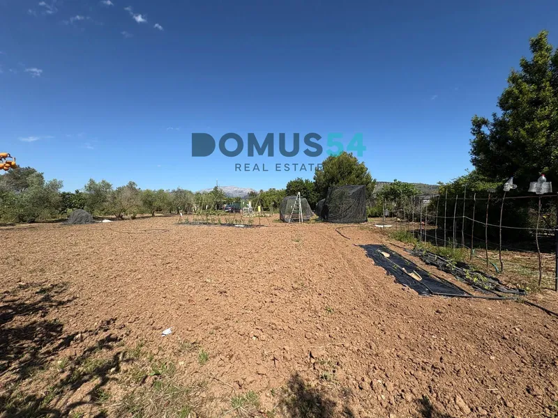 Unbuildable rural land with a shed in Sa Pobla — photo 1