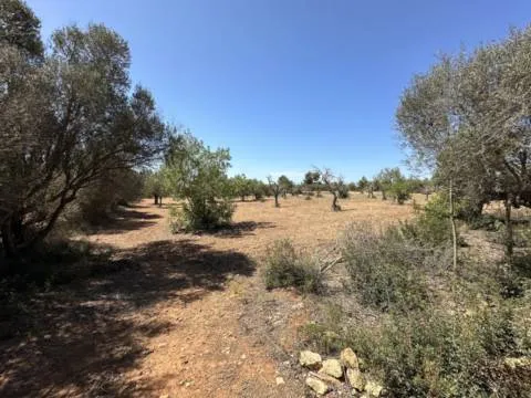 Plot - Ref. 000684 — photo 1