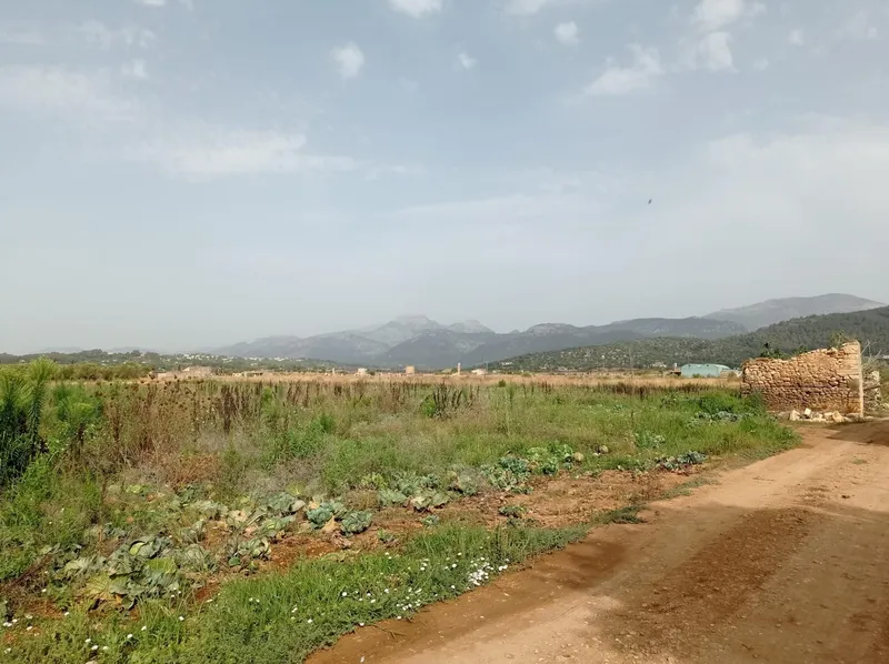 Plot of land - Búger (Buger), Built Surface 338m², Plot Surface 35000m² — photo 2