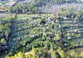 Exceptional Rustic Plot with Building License — photo 6