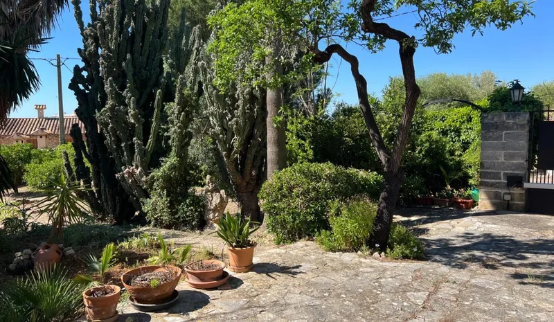 Rustic finca with independent apartment and views of the Serra de Tramuntana – Inca — photo 4