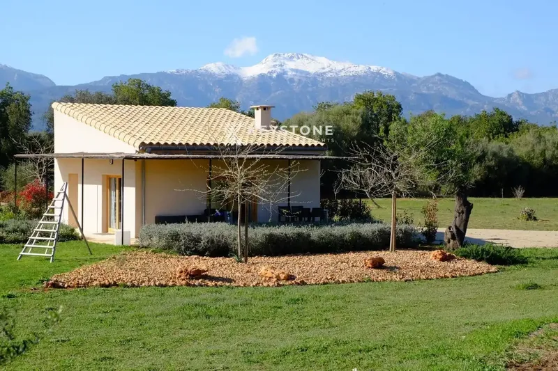 Available from October 1st - Cozy independent guest house in an exclusive rustic estate in Binissalem — photo 2