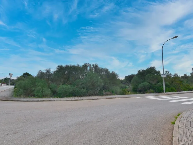 Land in Son Ferriol, Mallorca — photo 1