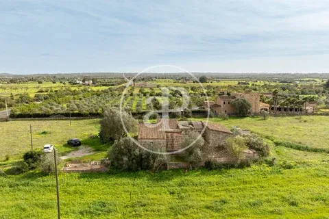 Farm house in Campos, Mallorca — photo 12