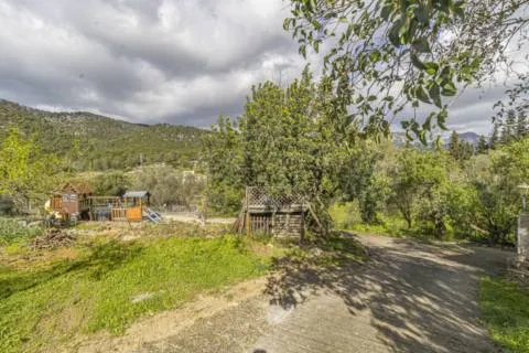 Rustic estate — photo 9